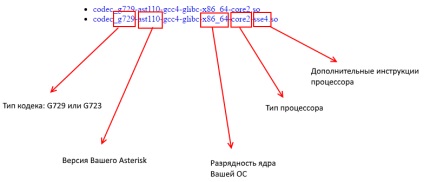 Instalarea asteriscului codecurilor g729 și g723