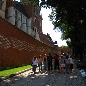 Castelul Wawel