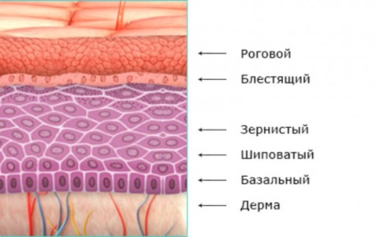 De îngrijire a vântului de primăvară cu factor de reducere a valorii expresiei valmont i recenzii