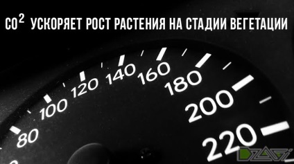 Cresterea canabisului la domiciliu - dioxid de carbon CO2