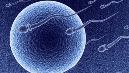 Efectul l-carnitinei asupra spermogramei la bărbații cu infertilitate, cefalee