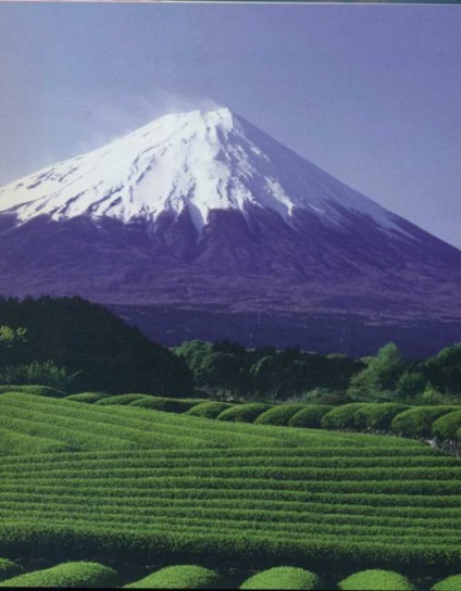 Vulcanul din Fujiam - Muntele Fuji din Japonia