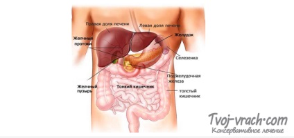 Interacțiunea hormonilor care afectează metabolismul carbohidraților