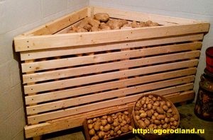 Depozitarea cartofului