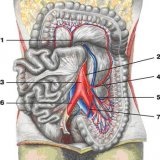 Boli ale aortei cavității abdominale - bisturiu - informații medicale și portal educațional