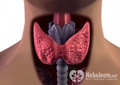 Boala tiroidiană Ce trebuie să știți