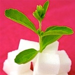 Înlocuitori de zahăr (înlocuitori de zahăr), rău de înlocuitori de zahăr, stevia - înlocuitor de legume
