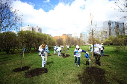 Megapolisul verde, în care sunt plantate copaci și flori la Moscova