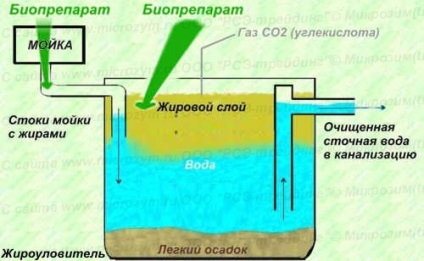 Grăsime biodegradabilă grăsime biodegradabile grăsime microzima (tm) grăsime recoltare grăsime, grăsime hidroliză, cum ar fi