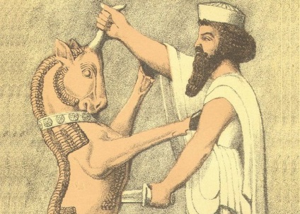 10 Fapte neasteptate despre faraoaiele Egiptului antic, care vor uimi chiar si cunoscatorii istoriei