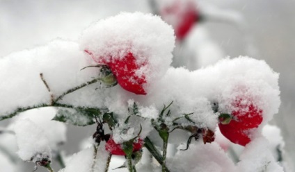 10 tipp, hogy egy lenyűgöző téli képek, órák fotók és fotó feldolgozás