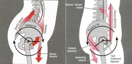 4 Exerciții pentru a corecta înclinația pelviană anterioară