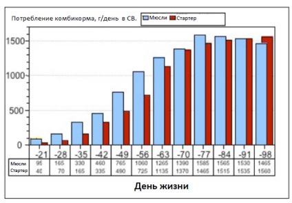 Animale de fermă - ce fel de hrană solidă este mai potrivită pentru dezvoltarea rapidă a vițeilor la un rumegătoare