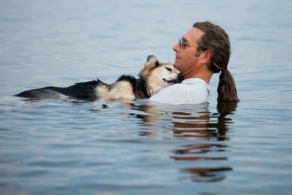 Un ziar american poartă un câine bolnav la lac, ca să poată dormi,