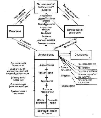 Anatoly Maklakov - psihologie generală - pagina 3