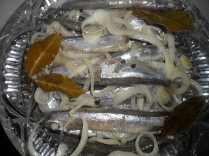 Anchovies szardella a kapelánhalászati