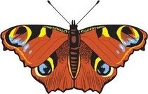 Butterfly котка графика детайл натоварване 1000 клип изкуства (Page 1)