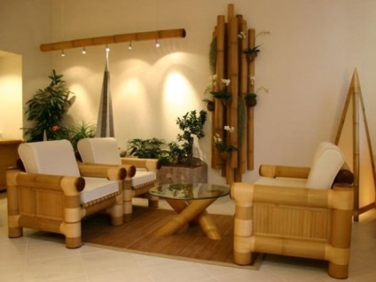 Bamboo în interior - cum să utilizați care finisaje, decor este acceptabil