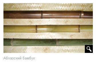 Bamboo în interior - cum să utilizați care finisaje, decor este acceptabil