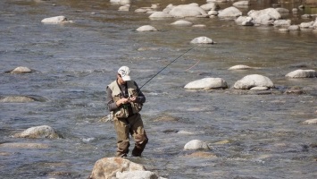 Boilies pentru rețete de pescuit de pescuit, tehnica de crap și de pescuit alb Cupidon - ecran-șir -