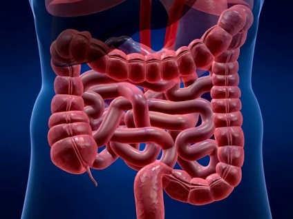 Curățarea indicațiilor intestinului, metodele, metodele, prevenirea