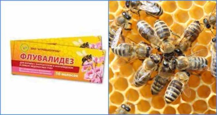Mi a Varroa méh és milyen kezelési módszerek