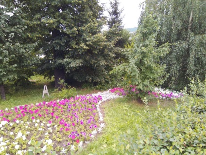 Flori și paturi de flori, deregraservis Kazan