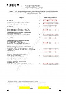 Declarația USN, declarația fiscală, declarația ipt