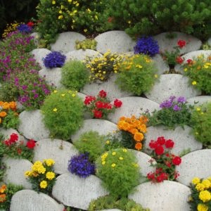 Designul patului de flori - decorați paturile de flori cu propriile mâini la cabana, terenul de fermă și în fața casei, ca