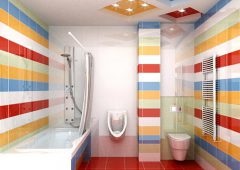 Design de baie combinat cu o toaletă, idei
