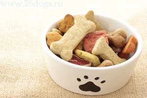 Házi receptek kezeli kutyák - egy gyors és egészséges ételek