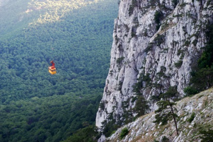 Excursie la a-petri yalta din punctul de vedere al păsărilor