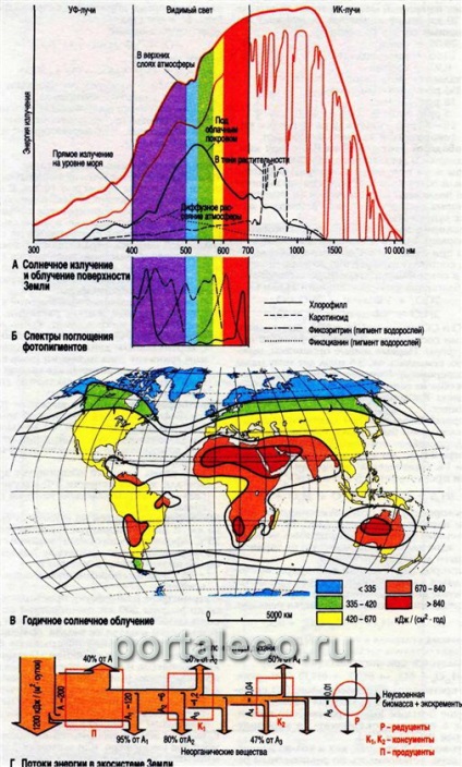 Elemente ale atmosferei și formarea de oxigen