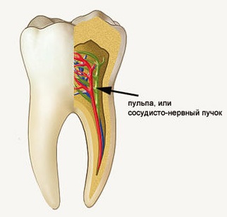 Endodonția Belgorod