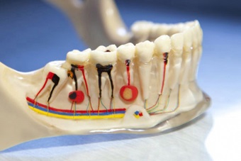 Endodonția din Moscova