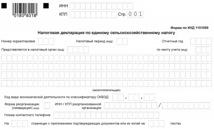 Ешнн за кфх - tipuri, termeni de livrare a situațiilor financiare