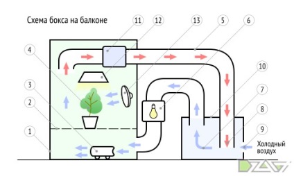 Hidroponie în vară - tendințe - publicații - articole