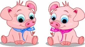 Anul horoscopului de porc (porc) - caracteristici ale personajului - libertatea de a spune horoscopul online 2017 -