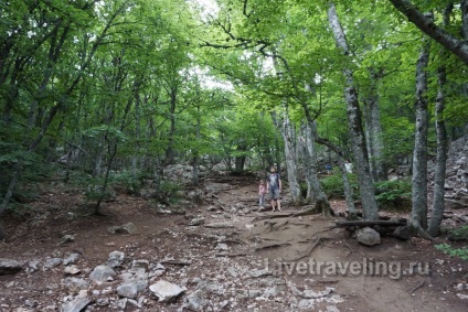 Mount ai-petri - una dintre cele mai bune aventuri în Crimeea - călătorii vii