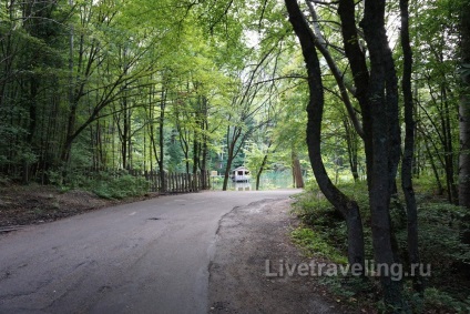 Mount ai-petri - una dintre cele mai bune aventuri în Crimeea - călătorii vii