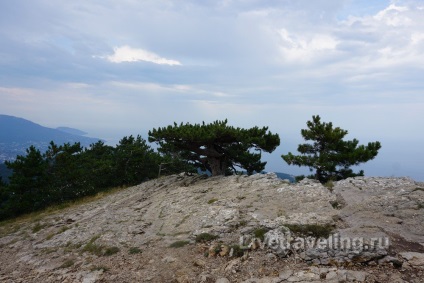 Mount ai-petri - una dintre cele mai bune aventuri în Crimeea - călătorii vii