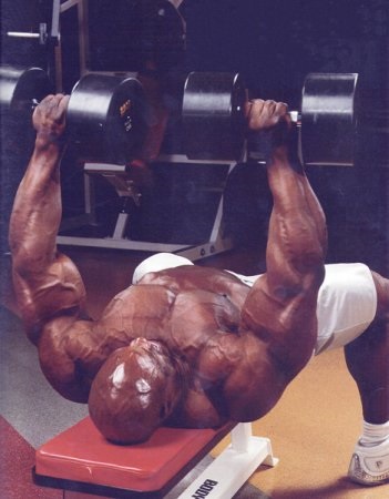 Letöltése Pécs - Lessons Ronnie Coleman, testépítés és a testépítés (testépítés) Letöltése Pécs - Lessons Ronnie Coleman, testépítés és a testépítés