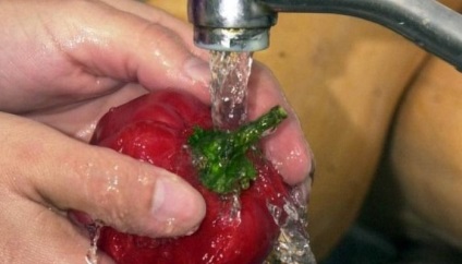 Cum să economisiți apă într-un apartament cu un contor