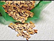 Care semințe de castravete sunt cele mai bune pentru video de teren deschis, o prezentare generală a celor mai bune semințe de castravete pentru
