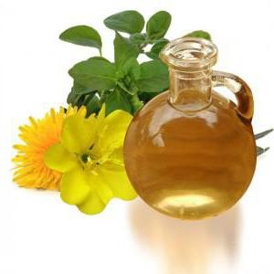 Cum se utilizează ulei de seară primrose ulei de primrose uleiul de proprietăți utile, aplicare, prețuri, comentarii