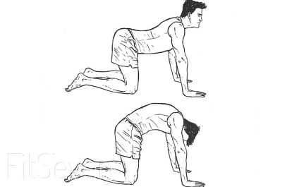 Как да се определи ви поза и да направи гърба си изправен метод за начинаещи