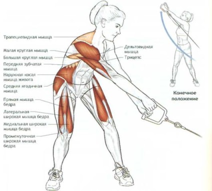 Cum să pompeze mușchii oblici abdominali 6 exerciții