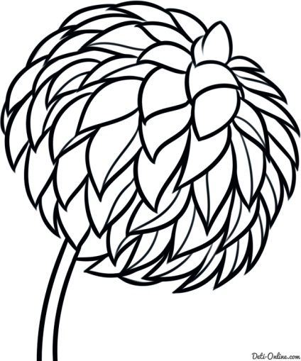 Cum de a desena o dahlia în etape - cum să atragă crizantemele în creion pas cu pas
