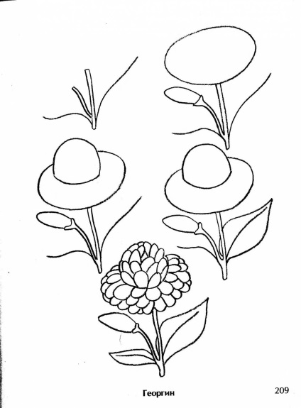 Cum de a desena o dahlia în etape - cum să atragă crizantemele în creion pas cu pas