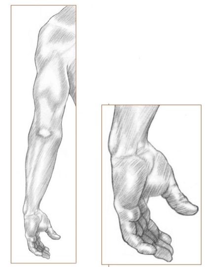 Cum să atragă mâna unei persoane cu creioane utilizând o diagramă foto
